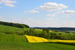 Illustration zum Wetterbegriff Agrarmeteorologie