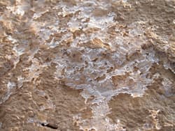 Illustration zum Wetterbegriff Bodenfrost