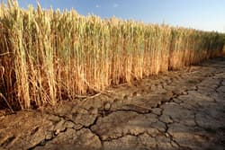 Illustration zum Wetterbegriff Desertifikation