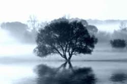Illustration zum Wetterbegriff Dunst