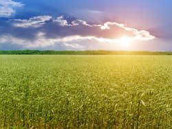 Illustration zum Wetterbegriff Einstrahlung