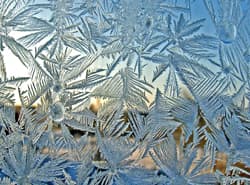 Illustration zum Wetterbegriff Eisblumen