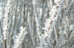Illustration zum Wetterbegriff Eiskristalle