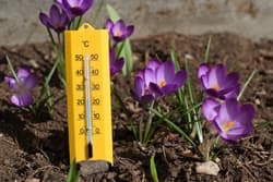 Illustration zum Wetterbegriff Erdboden-Temperatur