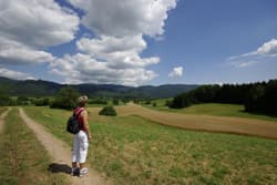 Illustration zum Wetterbegriff Frontalzone
