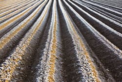 Illustration zum Wetterbegriff Frostgare