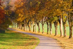 Illustration zum Wetterbegriff Goldener Oktober
