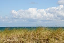 Illustration zum Wetterbegriff Kymatologie