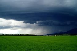 Illustration zum Wetterbegriff Landregen