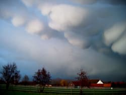 Illustration zum Wetterbegriff Mammatuswolke