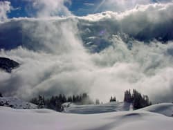 Illustration zum Wetterbegriff Nebel