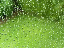 Illustration zum Wetterbegriff Siebenschläfer