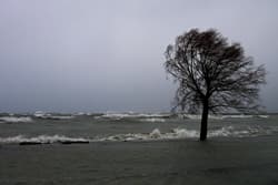 Illustration zum Wetterbegriff Sturm