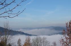 Illustration zum Wetterbegriff Talnebel