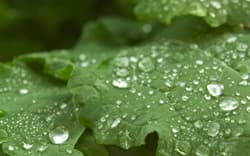 Illustration zum Wetterbegriff Taupunkt
