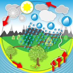 Illustration zum Wetterbegriff Wasserkreislauf