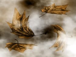 Illustration zum Wetterbegriff Windhose