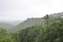 Illustration zum Wetterbegriff Zenitalregen