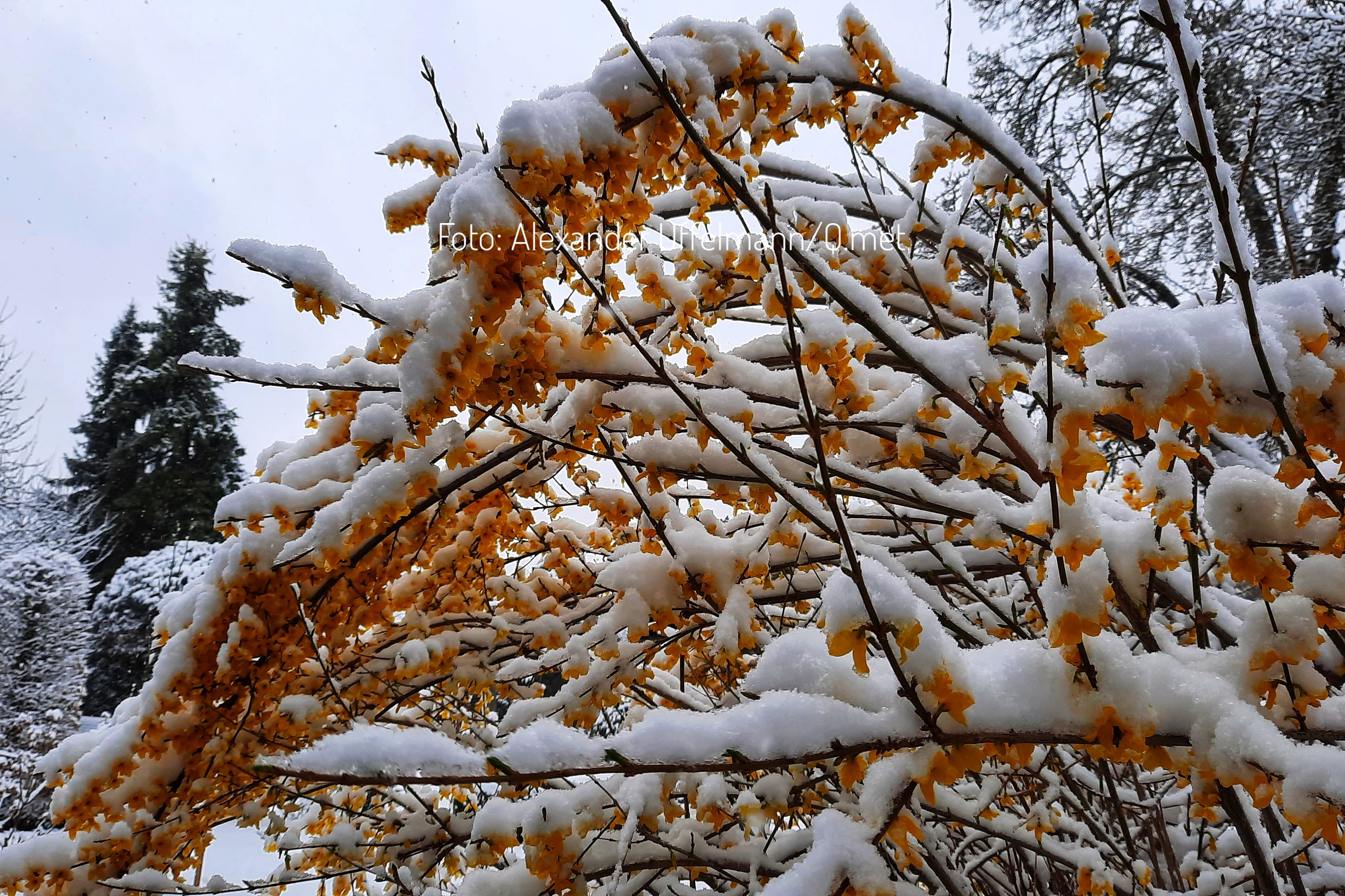 Großer Frühlingssturm mit Starkregen und Schnee im Anmarsch! Spielt uns der April einen schlechten S