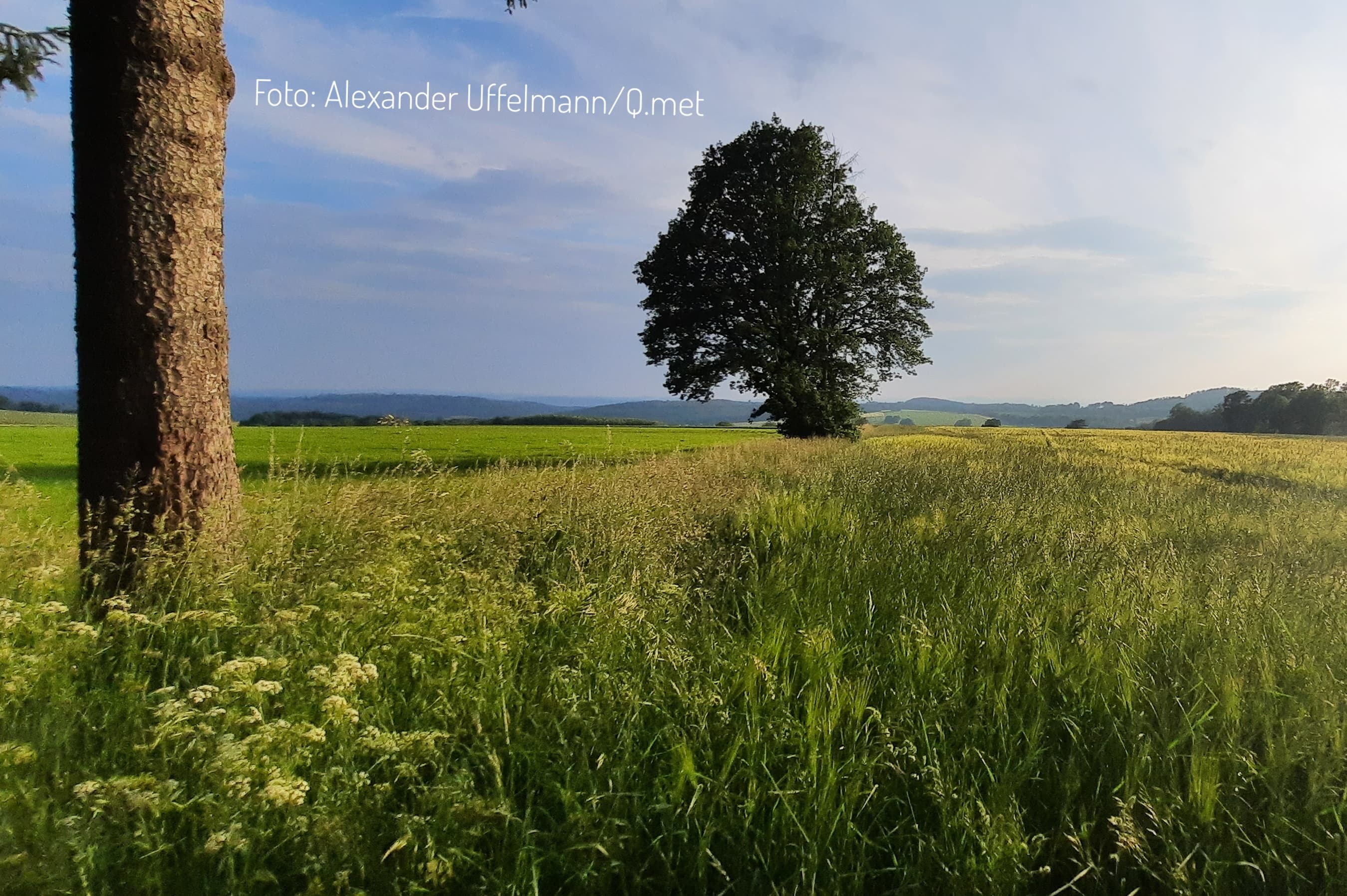 Badewetter am Wochenende
