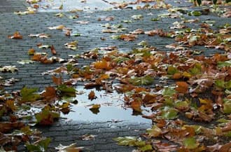 Regnerischer Novembertag