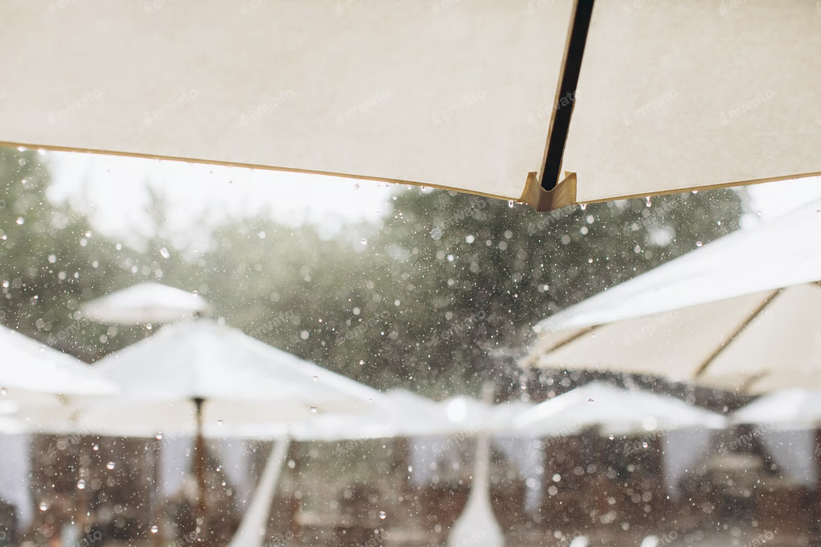 Wetter und Eventplanung  Vorteile von Papiertischdecken bei unvorhersehbarem Wetter