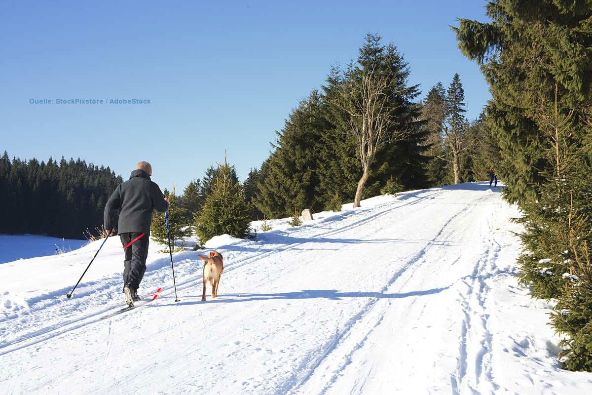 Winterliche Ruhe vor dem Sturm