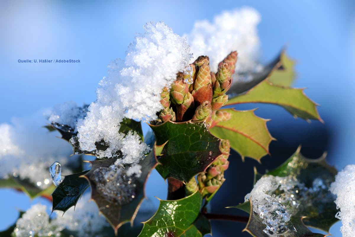 Winterliches drittes Adventswochenende
