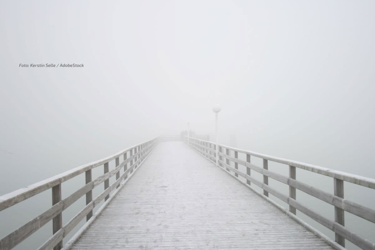 Sonne oder Nebel!