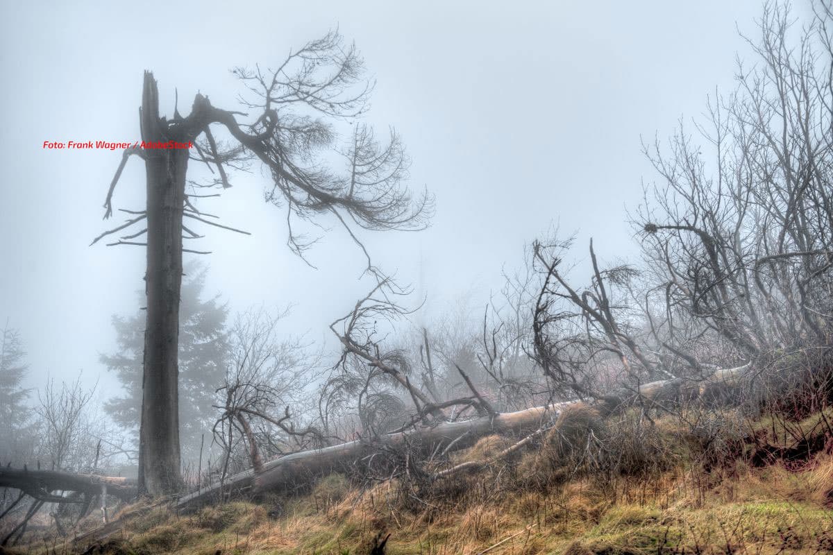 Wie kam es zur Tornadokatastrophe in den USA?
