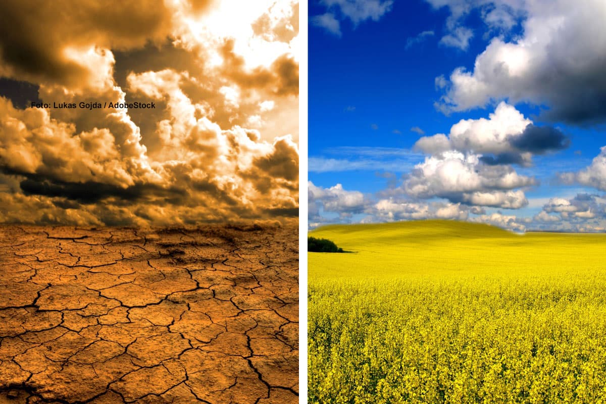 Wie wird der Sommer 2023?