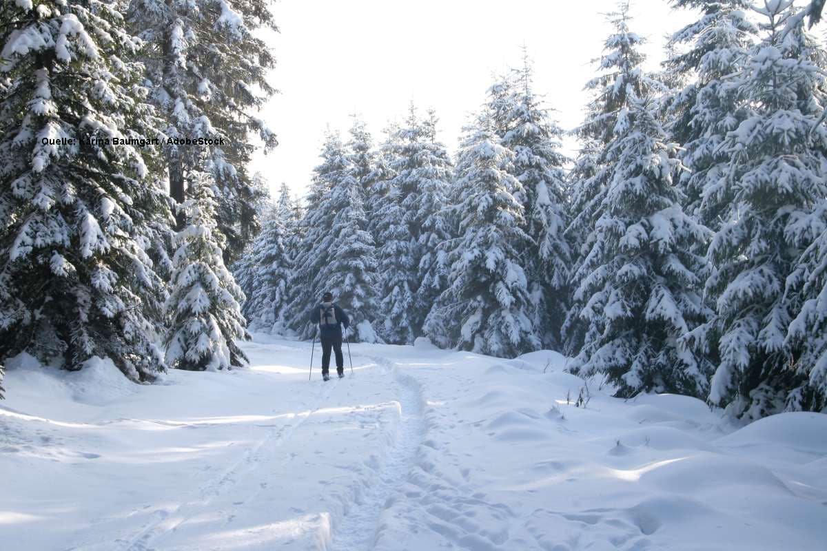 Meteorologe warnt: Polarluft im Anmarsch  Kommt der Winter zum dritten Advent?