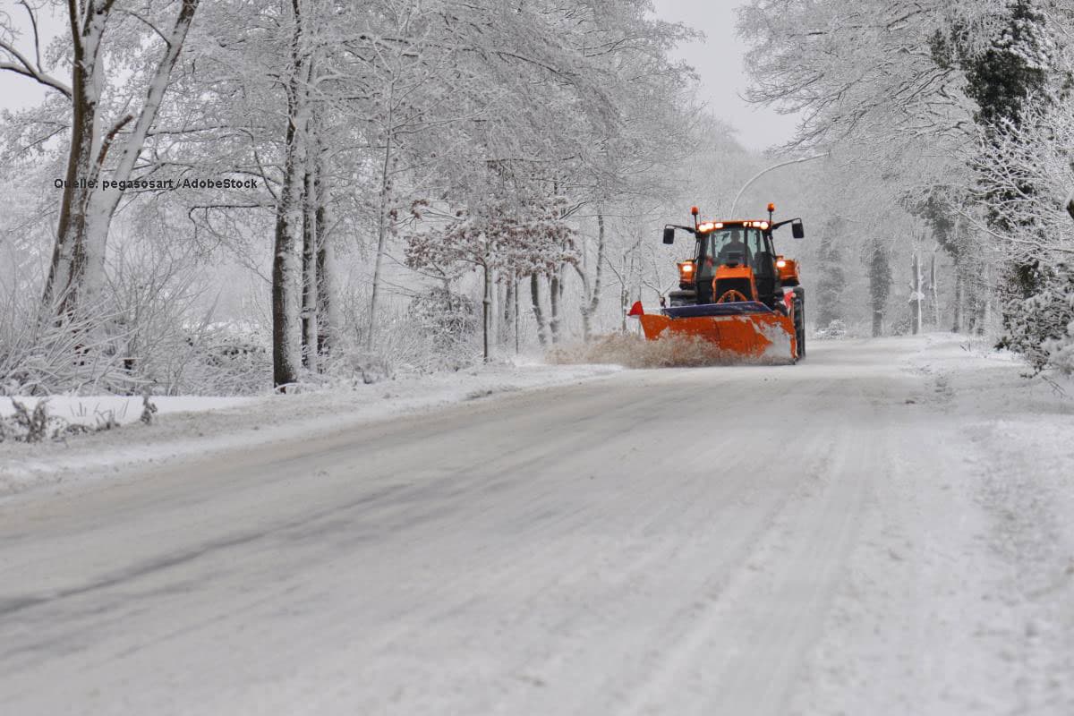 Flachlandwinter in Sicht: ja oder nein?