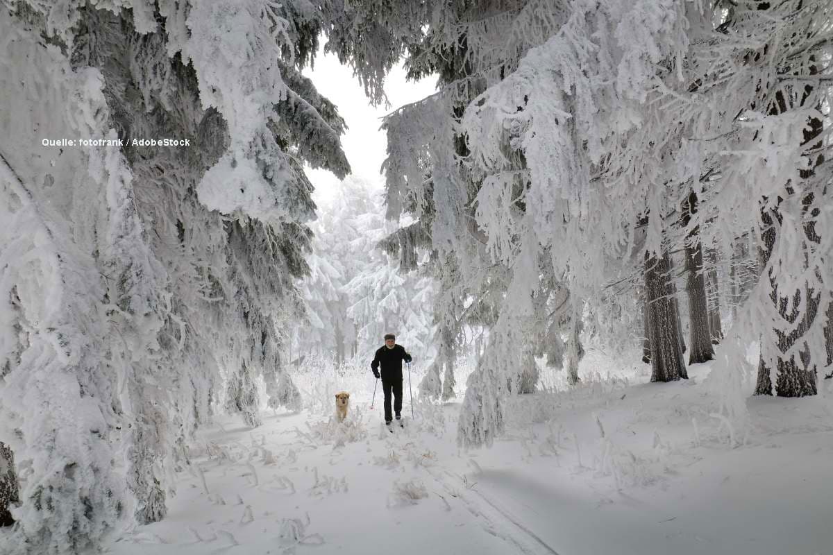 Wintereinbruch im Anmarsch: Drohen uns Schneemassen und eisige Temperaturen?