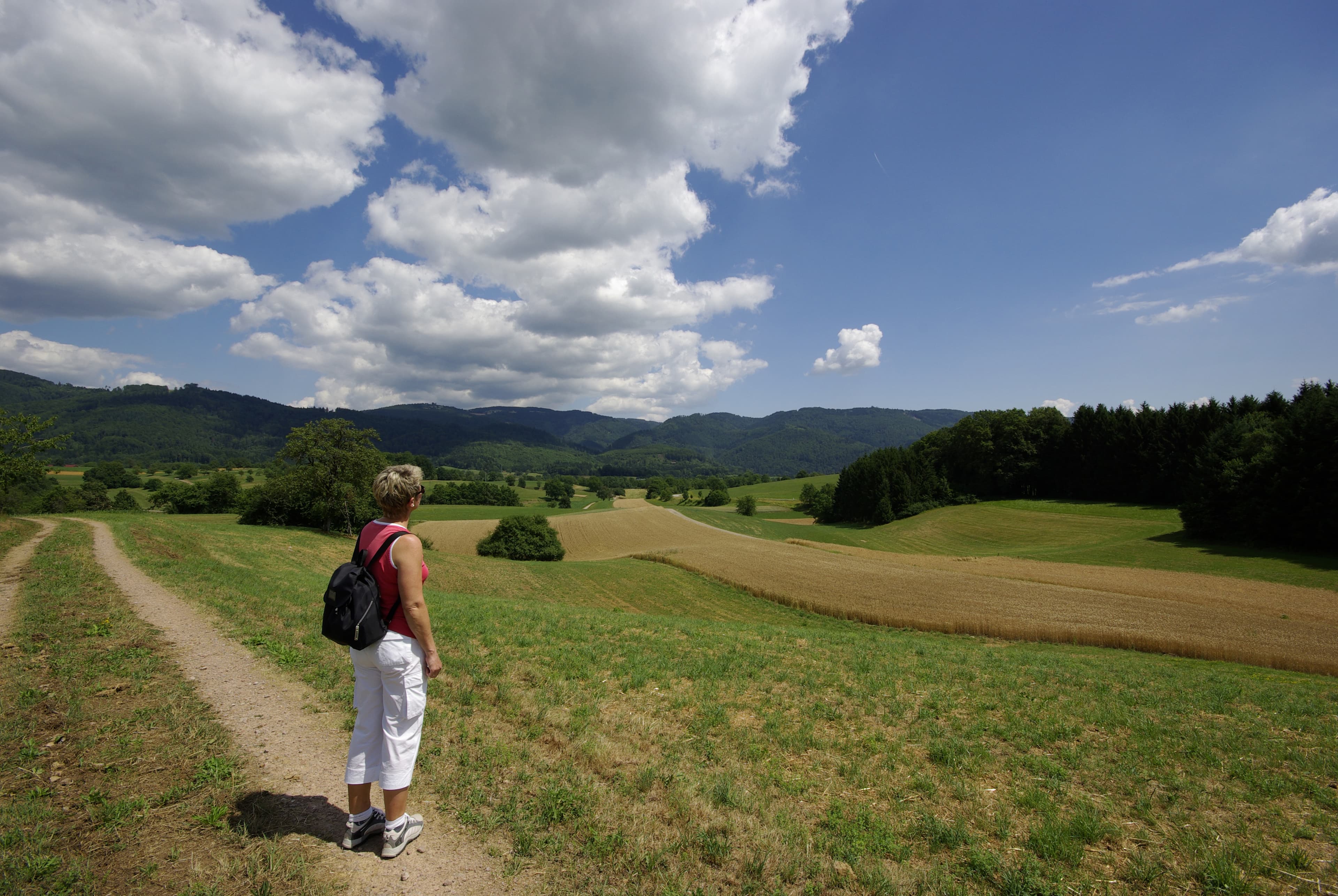Mix aus Sonne und Wolken