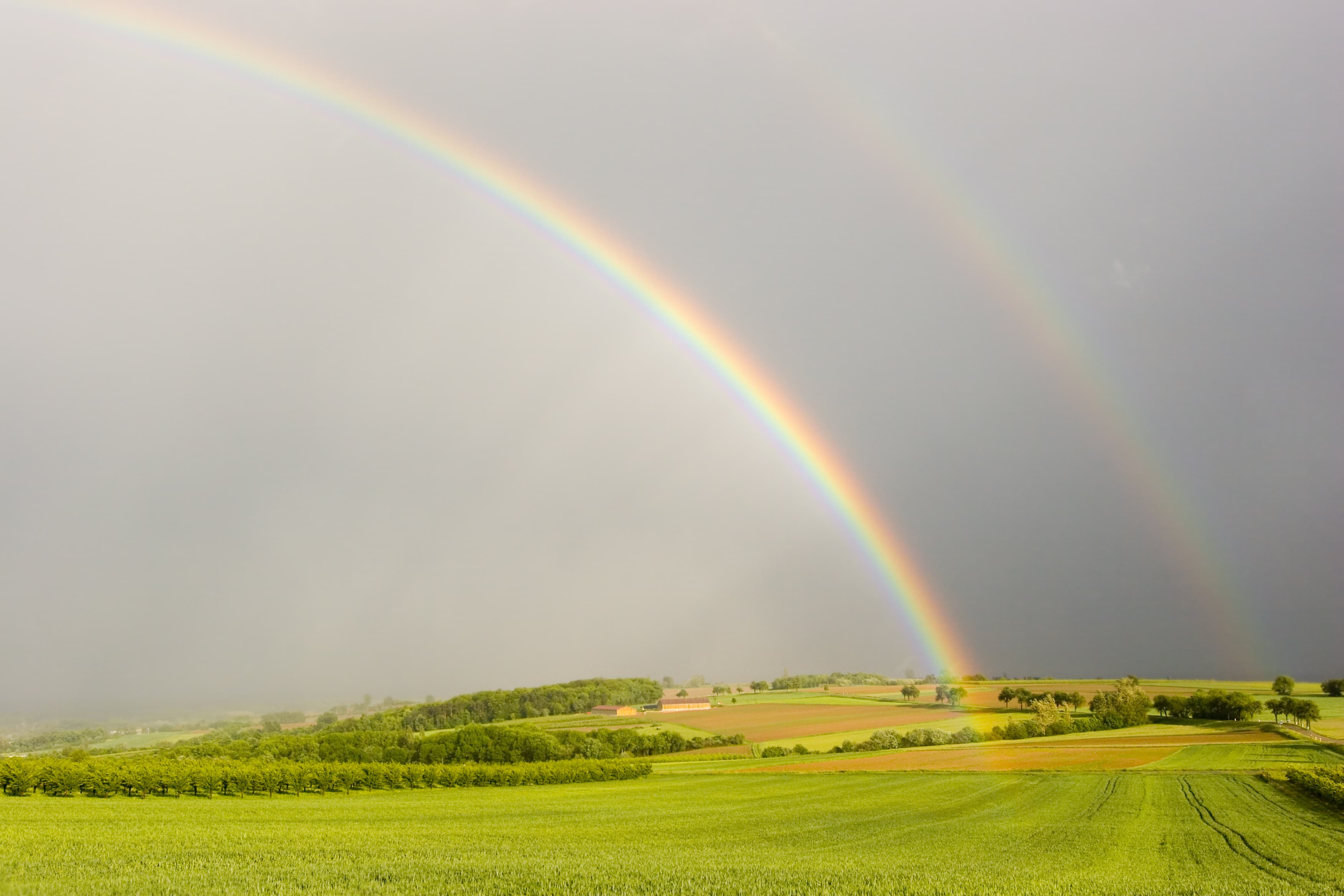 Regenschauer zum Muttertag