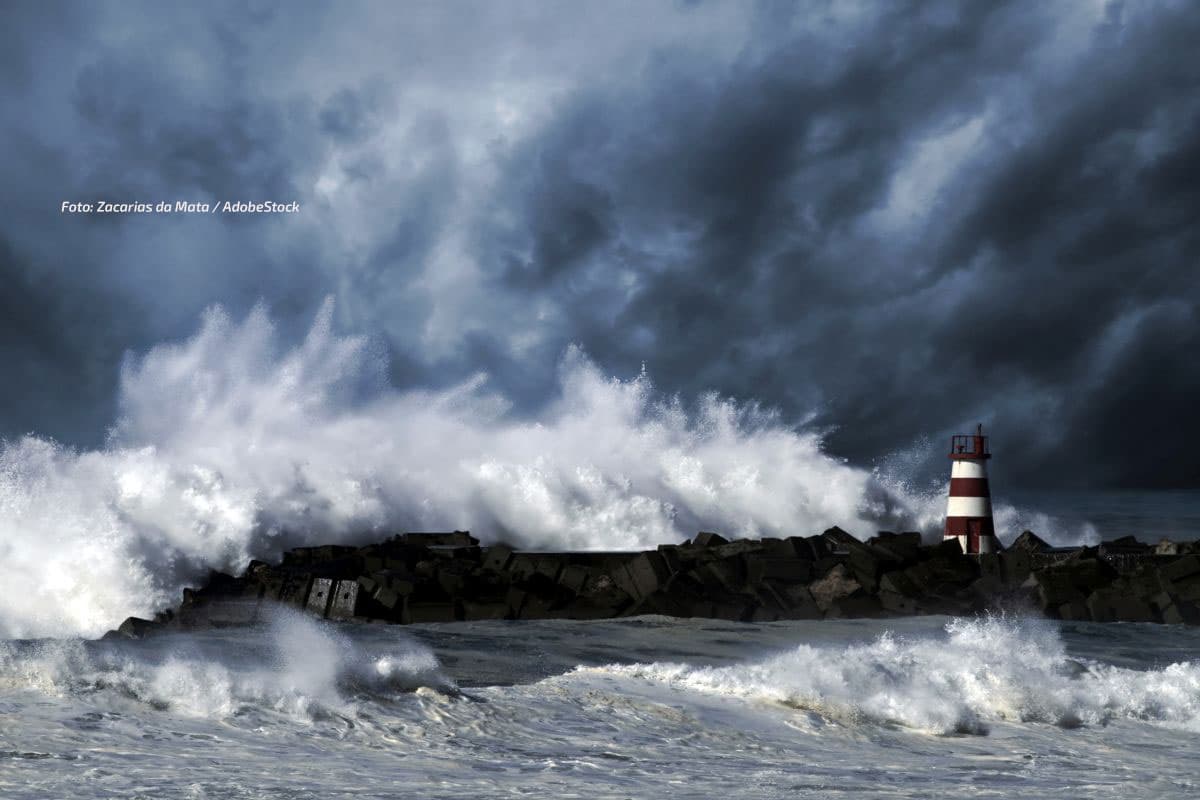 Viel Wind um Tim