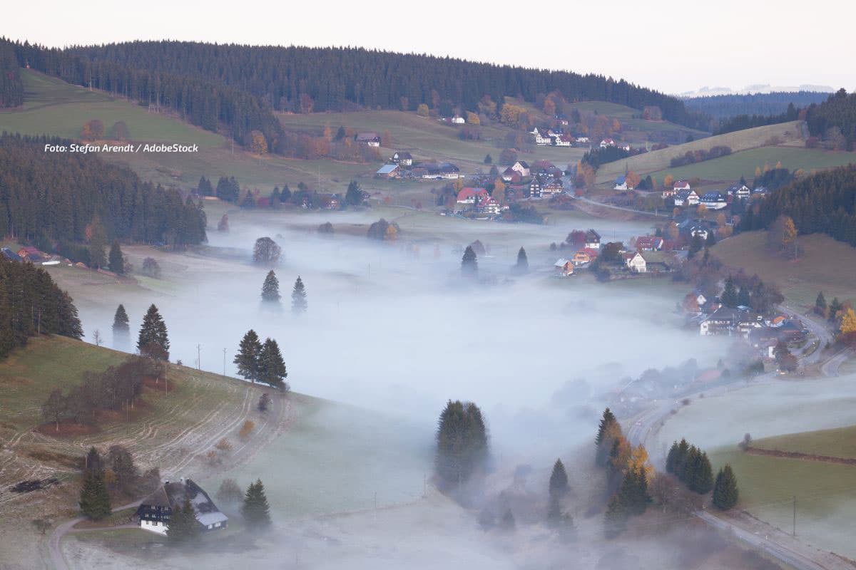 Sonnenschein oder Nebel