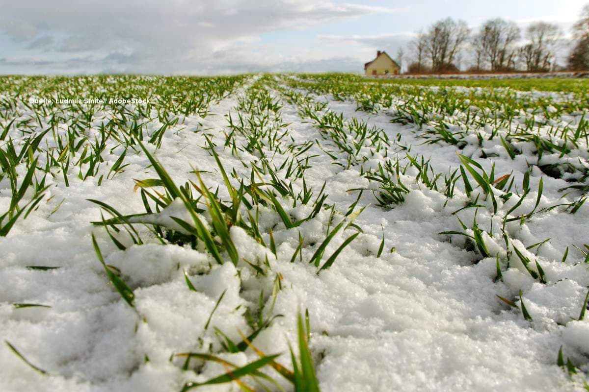 Nach 20 Grad nochmal Schnee bis in tiefe Lagen? Frühling bekommt einen Dämpfer!