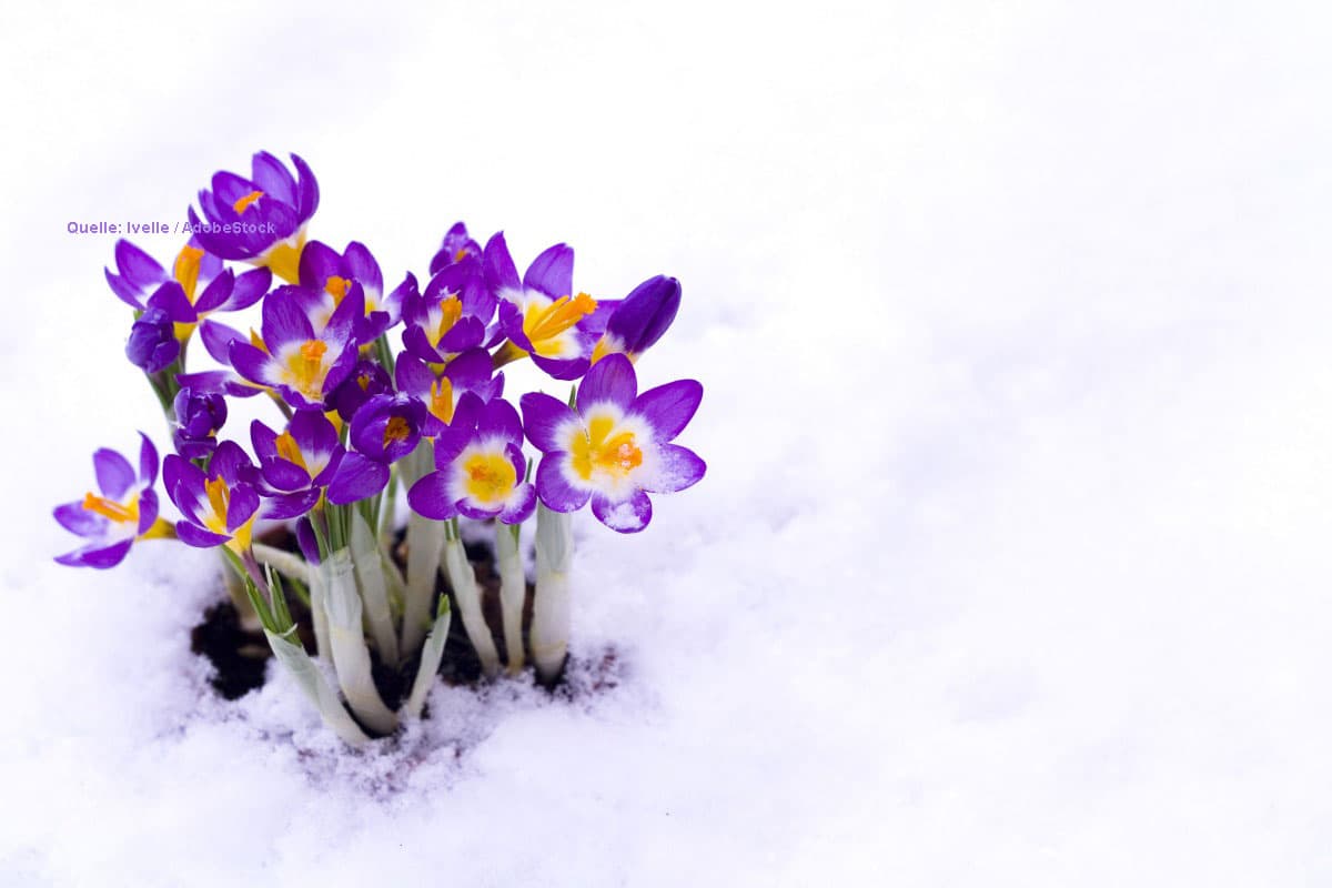 Klimawandel live: Droht der Februar erneut mit Rekordtemperaturen?