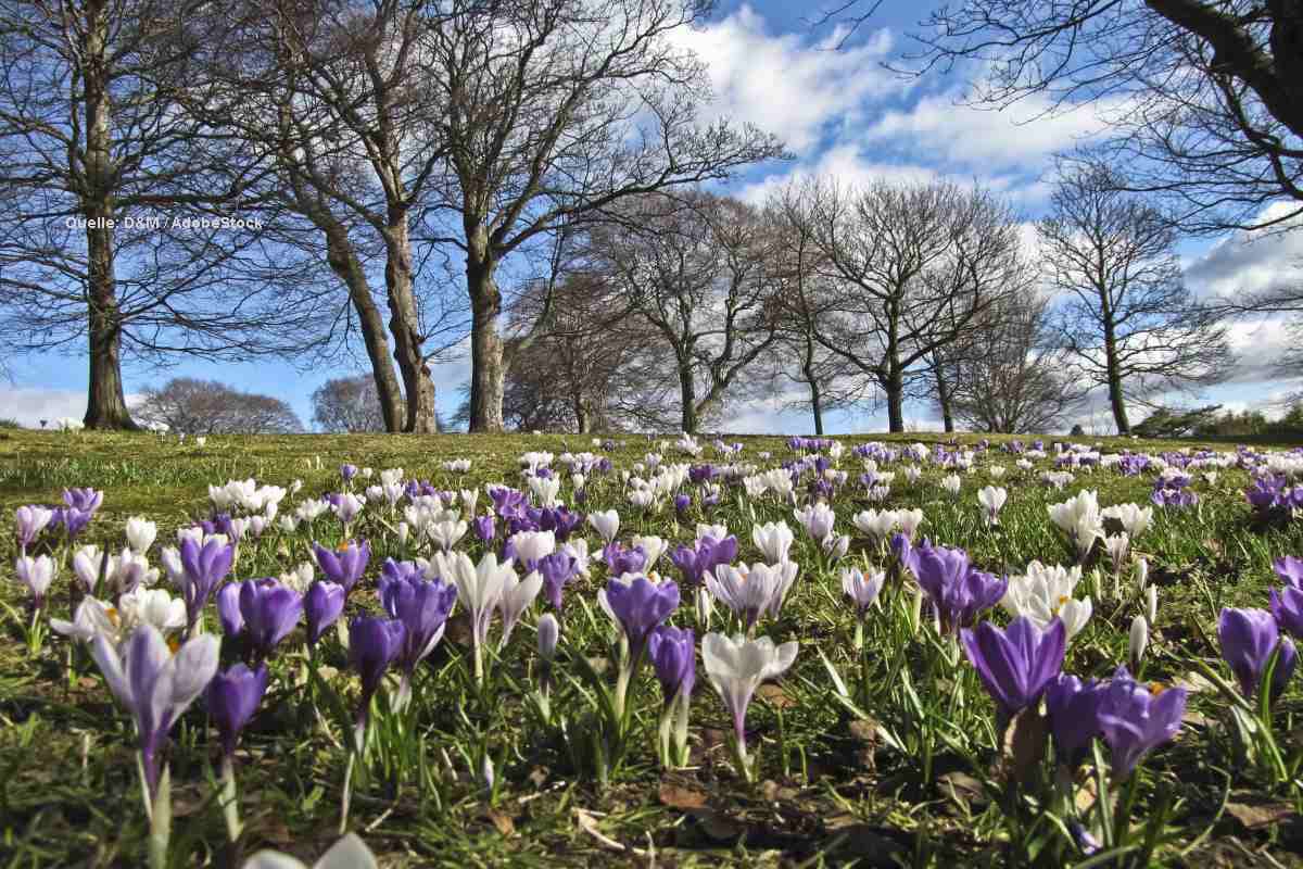 Wie wird der Frühling 2023?