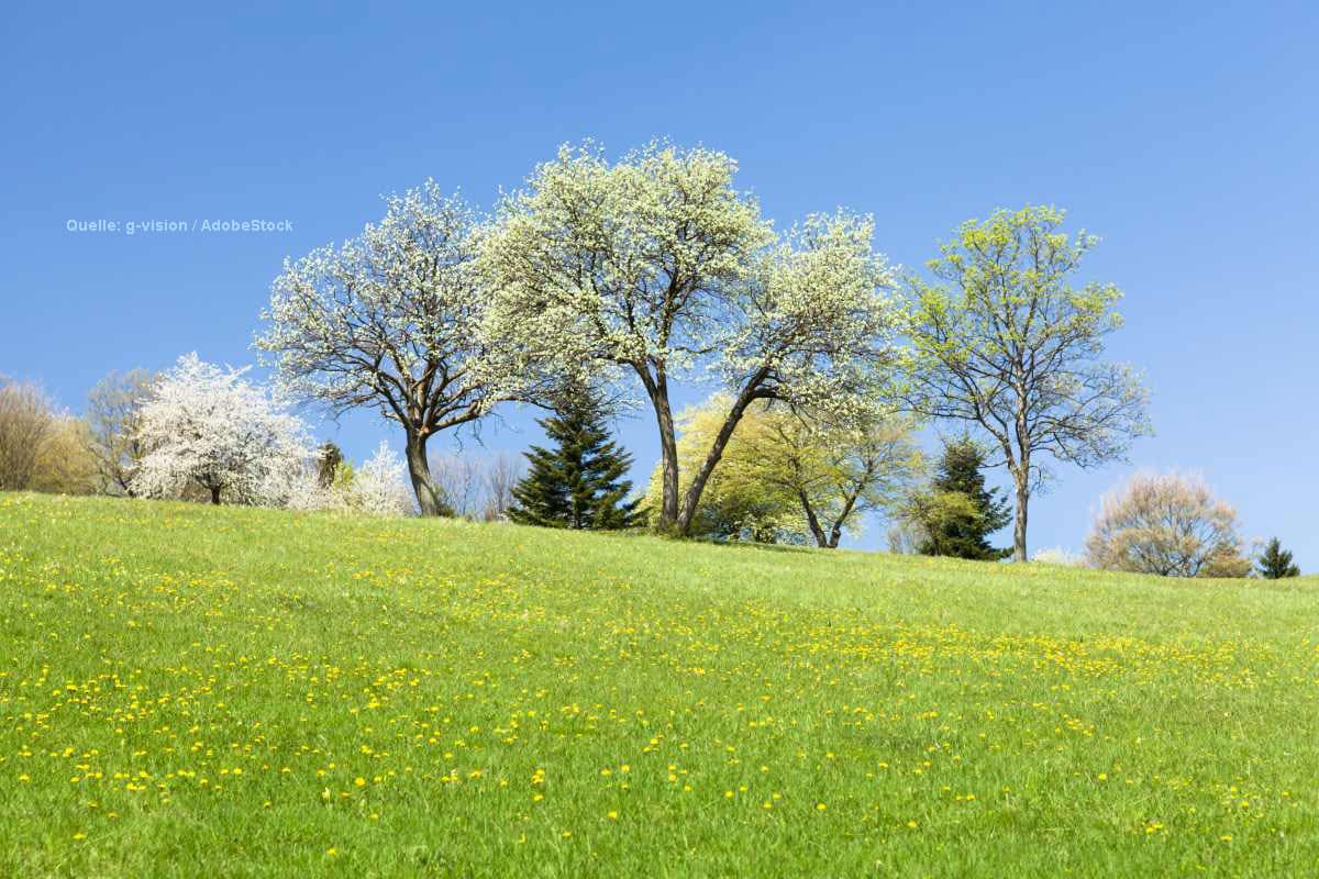 Der Frühling gibt weiter Vollgas!