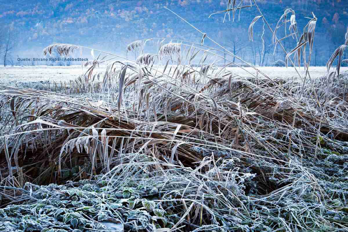 Temperaturen ab Sonntag im Abwärtsstrudel