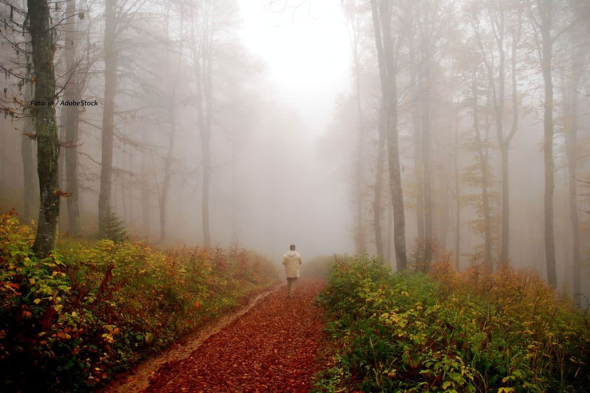 Nieselregen, Nebel oder Sonnenschein