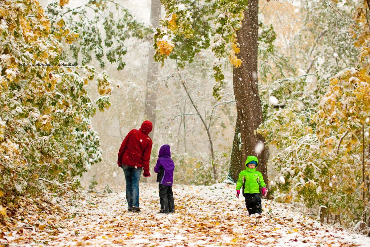 Schneefälle, im Nordosten Regen