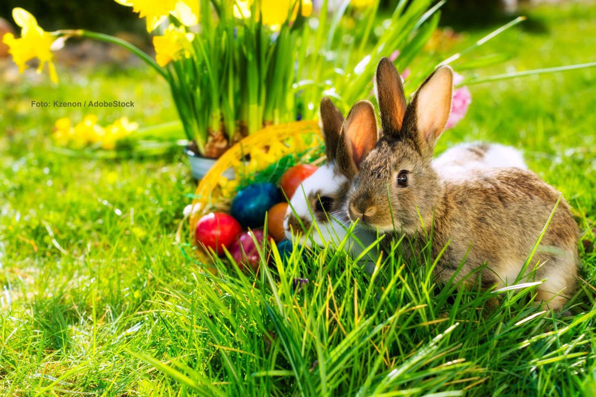 Das Wetter an Ostern