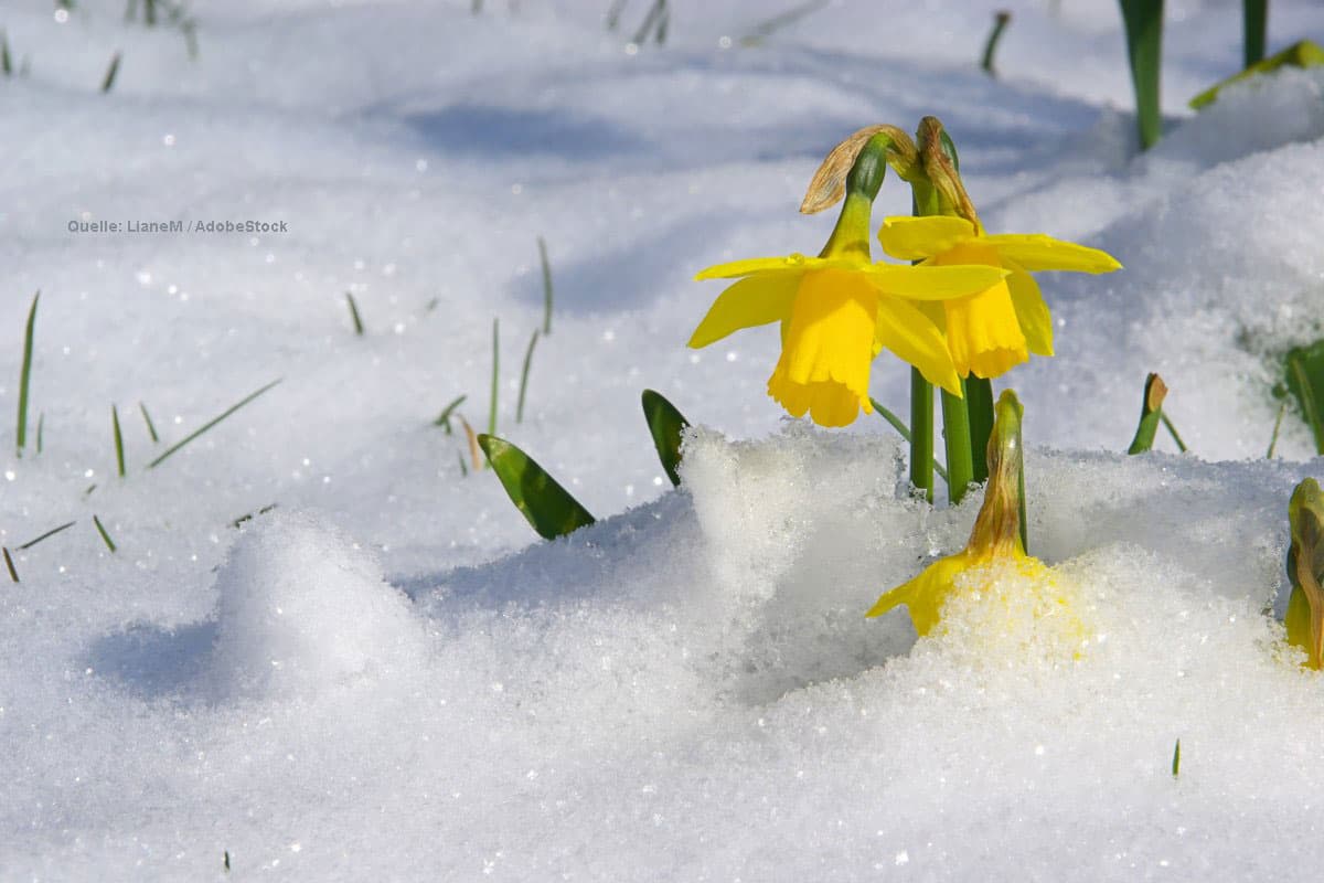 Kaltfront bringt Schnee und Regen