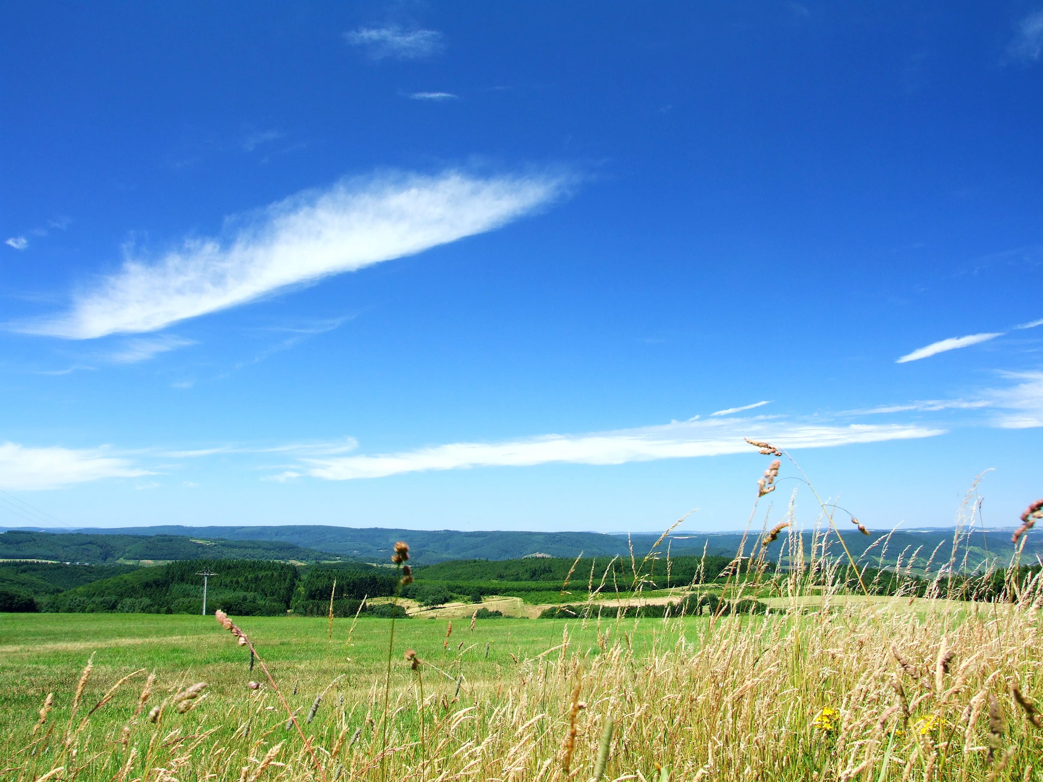 Strahlender Auftakt in den Spätsommer
