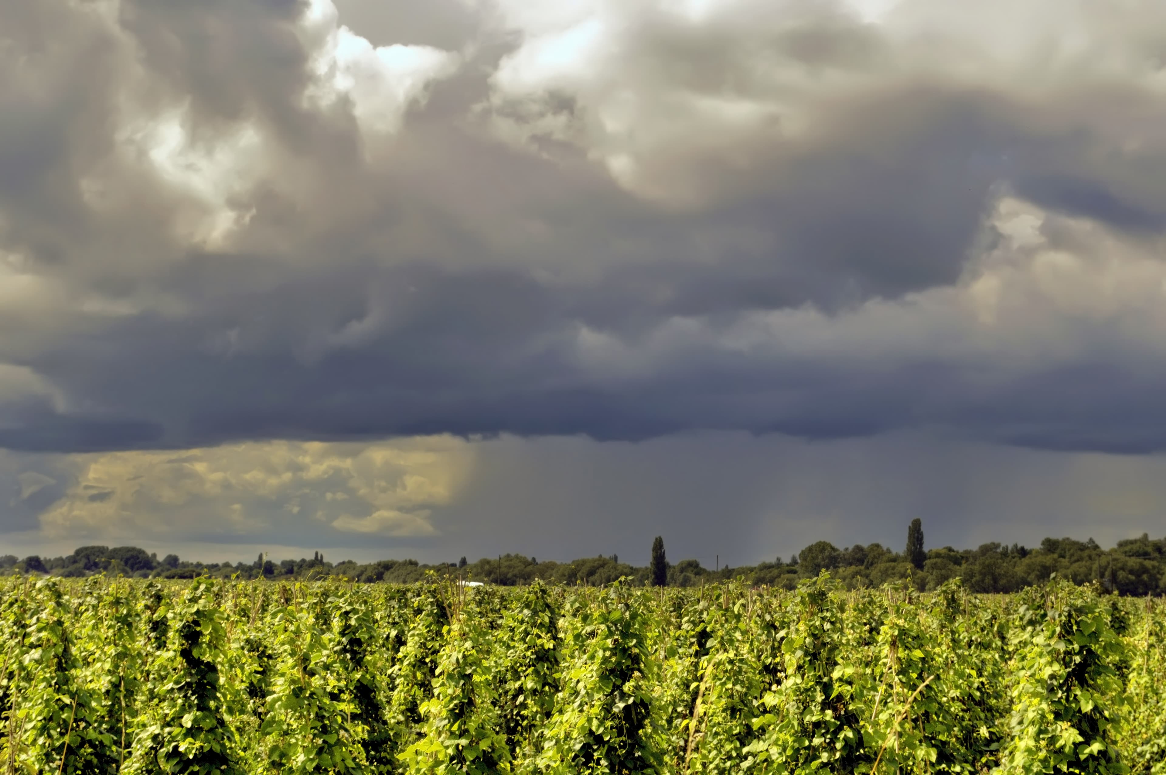 Gewitter im Nordwesten!