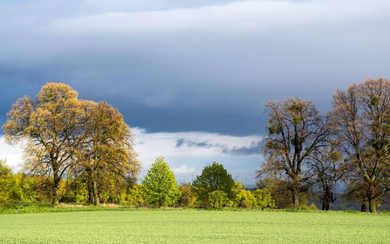  Sonne, Wolken und einzelne Schauer bei bis zu 20 Grad 